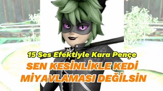 15 Ses efekti ile Sen Kesinlikle Kedi Miyavlaması Değilsin  Miraculous Laydybug and Cat Noir [upl. by Price]