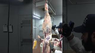 Beef Hindquarter breakdown part one [upl. by Epstein]