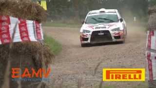 Rally Kurzeme 2014  Alexey Lukyanuk and Alexey Arnautov [upl. by Nodnar]