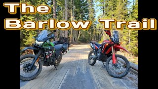 KLR 650 Ride on the Barlow Trail with a CRF 300L Rally [upl. by Lillis598]