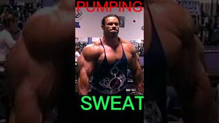 Shoulder Trained Like Kevin Levrone kevinlevrone motivation shortsfeed shorts pumpingsweat [upl. by Ronna502]