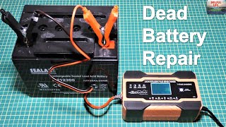 HOW TO REPAIR A DEAD BATTERY AND EXTEND ITS LIFE  LEAD ACID AGM GEL WET DESULFURIZTION PULSE CHARGE [upl. by Elcarim]