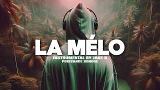 Free Melodic Drill Type Beat quotLa Méloquot Instru Rap drill Love Instrumental Melodieuse 2024 [upl. by Maurreen]