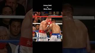 Arturo Gatti vs Micky Ward boxing [upl. by Ettezus]