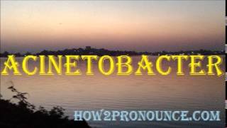 How To Pronounce ACINETOBACTER [upl. by Nicholas]