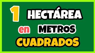 🔥 Cuántos METROS CUADRADOS tiene Una HECTÁREA  ha ➡ m² [upl. by Meras651]