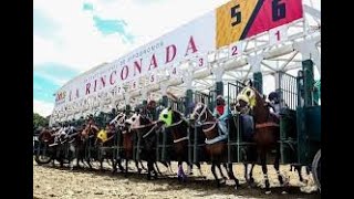 ELIO PALMA Y SU VENEZUELA HIPICA  Domingo 01 de Diciembre del 2024 Desde La Rinconada 🏇✨ [upl. by Refitsirhc]