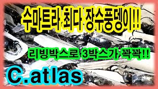 곤충이란 이런것이다 를 보여주는 곤충표본언박싱 정말 대단한 인도네시아 엄청난 수마트라섬 벵쿨루 [upl. by Eiraminot]