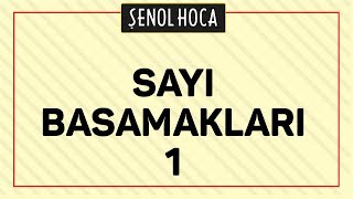 SAYI BASAMAKLARI 1  ŞENOL HOCA [upl. by Einnahpets]