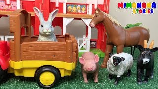 Animales dela Granja 🐮🐱🐶 Vaca Caballo Conejo Oveja y mas ✨ Videos Educativos  Mimonona Stories [upl. by Grekin]