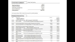 how to edit chase bank statementbank reconsciliation USA Bank statement [upl. by Aneerbas780]