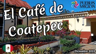 El CAFÉ de COATEPEC Veracruz  PUEBLO MÁGICO  Historia Finca Bola de Oro Muesos [upl. by Cochard]