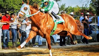 🔥El R8 C 3 Cruces ✞✞✞🔥 Maturity del Tequila Hipodromo Tonala JAL [upl. by Yzeerb]