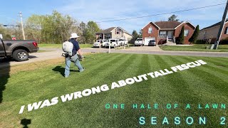 ❌Tall Fescue❌ vs 🔥TurfTypeTall Fescue 🔥 Season 2 [upl. by Prosser]