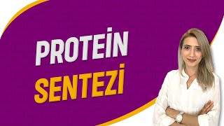 Protein Sentezi  Seda Hoca Biyoloji  24 Ders  sedahocabiyoloji ayt2023 [upl. by Bueschel]