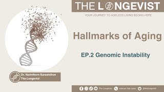 Hallmarks of aging Ep 2 Genomic Instability [upl. by Binette255]