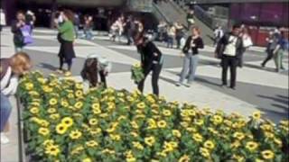 GGTV Stockholm Guerilla Gardening Golden Triangle Event [upl. by Stone]