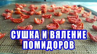 Сушка 🍅помидоров в инфракрасной сушилке Вяленые 🍅томаты — УКРСУШКА [upl. by Aiekahs460]