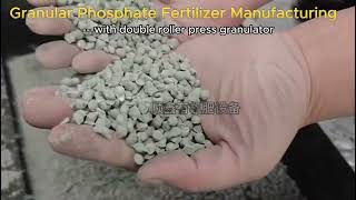 Granular phosphate fertilizer manufacturing with double roller granulator [upl. by Jak]