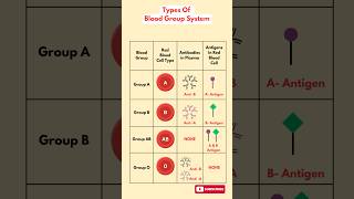 Types of Blood Groups Explained  A B AB O  Essential Medical Knowledge [upl. by Bernadine]