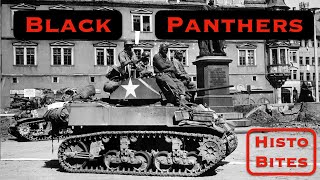 The EXTRAORDINARY Black Panther Tank Battalion [upl. by Ehtyde]