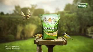 Peckish 2019 TV Sponsorship Channel 4 Weather Showreel [upl. by Ahsilek]