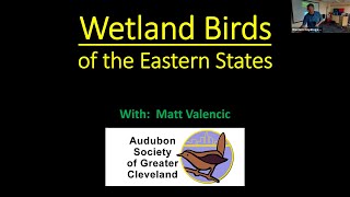 WCAS Speaker Series Sept 2024 Wetland Birds of the Eastern US [upl. by Kozloski]