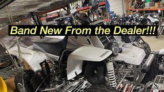 How to buy a Brand New Yamaha Banshee in 2022 [upl. by Jerman]