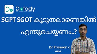 കരളിന്റെ പരിശോധന ചെയ്യണോ 💉 Is your SGPT SGOT Test High Does that mean Liver Damage 🩺 Malayalam [upl. by Eta]