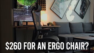 The Best Budget Ergonomic Chair  Staples Hyken Ergonomic Chair Review and Unboxing [upl. by Lrigybab539]