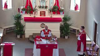 8am Mass at St Mary of Lourdes Live Stream [upl. by Fenella]