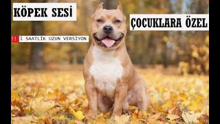 Köpek Sesi I Köpek Havlaması I Gerçek Köpek Sesi I Yavru Köpek Sesi  UZUN VERSİYON [upl. by Marsh]