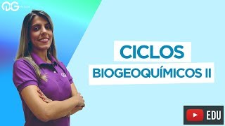 Preparatório Medicina Biologia  Ciclos Biogeoquímicos [upl. by Weingarten]