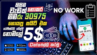 How to earn money online  online business at home  part time job  e money Sinhala 2022 [upl. by Basilio766]