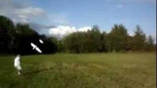 RC Airplane Crashes Into Kid [upl. by Anallise]