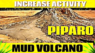 Piparo Mud Volcano Increasing Activity trinidad mudvolcano volcano piparo news ctv vlogger [upl. by Kunkle363]