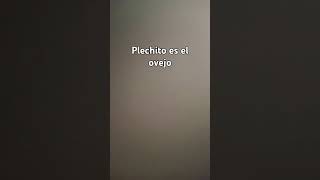 plechito es el ovejo [upl. by Aig]