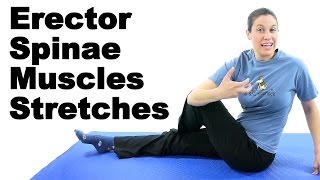 Erector Spinae Muscles Stretches  Ask Doctor Jo [upl. by Acey]