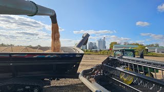 Harvest Continues and Tillage Gets Rolling [upl. by Barbabas629]