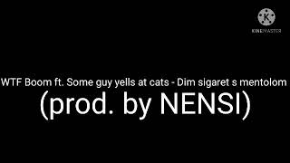 REUPLOAD WTF Boom ft Some guy yells at cats  Dim sigaret s mentolom prod by NENSI [upl. by Nerred828]