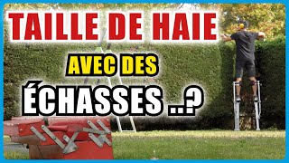 Estce une Super Idée de Tailler une Haie avec des ÉCHASSES [upl. by Hnib]