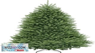 National Tree Company Artificial Full Christmas Tree Green Dunhill Fir Includes Stand Review [upl. by Tem]