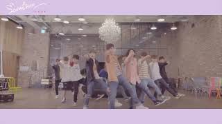 Dance Practice SEVENTEEN세븐틴  예쁘다 Pretty U Dancecal ‘LOVE ver’ [upl. by Megan]