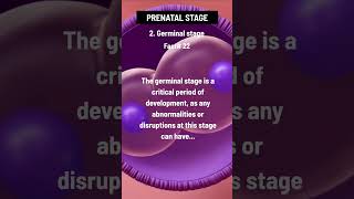 Germinal stage Fact  22 Do you agree Write down your thoughts in the comments down below 👇👇👇 [upl. by Dan851]