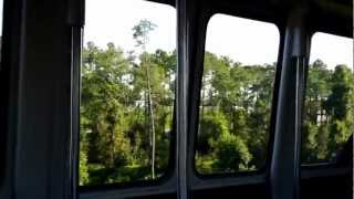 Monorail Ride From TTC to Epcot [upl. by Aneris]