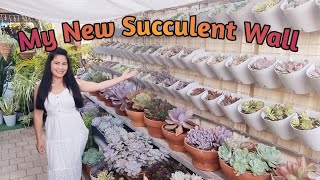 My New Succulent Wall  Sarah G Smith [upl. by Nyleaj]