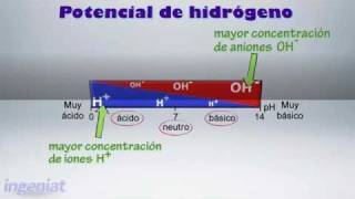 SEC 3ERO C3 B4 12 Modelos de ácidos y bases [upl. by Norahc]