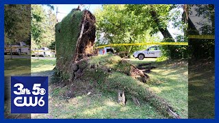 Storm unroots slams down and destroys trees and homes due to wind and rain [upl. by Ylekalb]