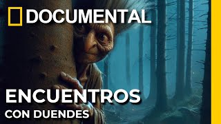 Increíbles Historias de Duendes Reales ¿Qué Esconden  Documentales en Español [upl. by Edalb]