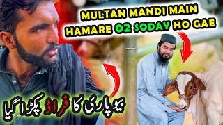 MULTAN COW MANDI RATES amp BARGAINING BEFORE 02 DEALS  Cattle Market Karachi  Bakra Eid 2025 [upl. by Joashus]